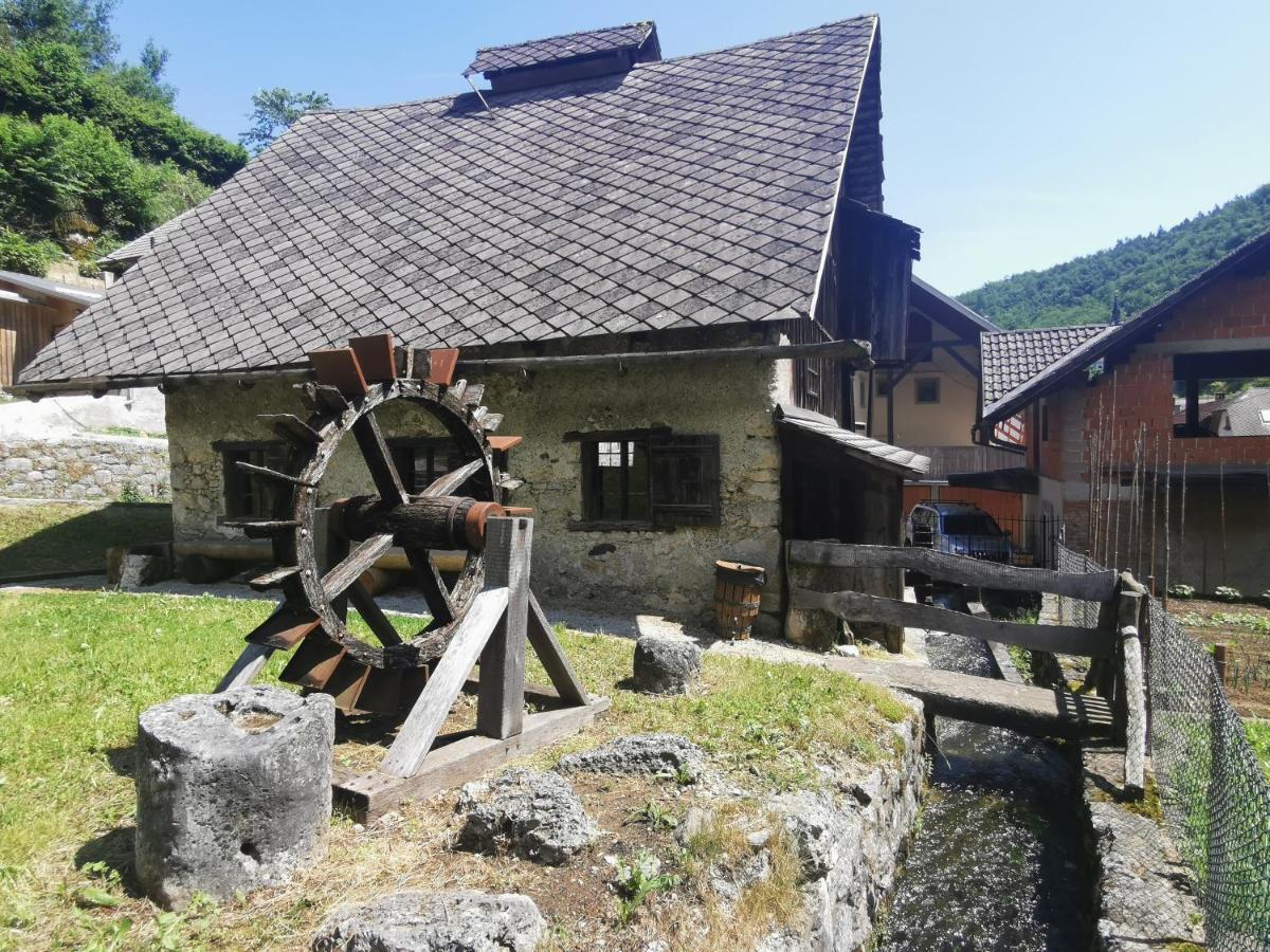 Bajta Kroparica 外观 照片
